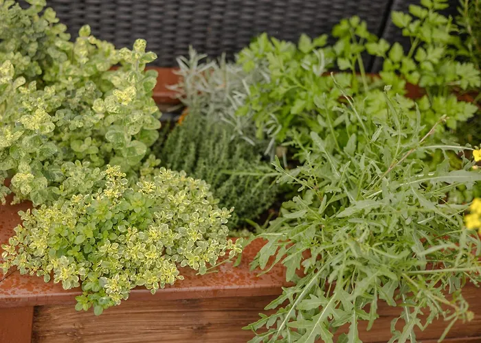 Eifelblick Apartament